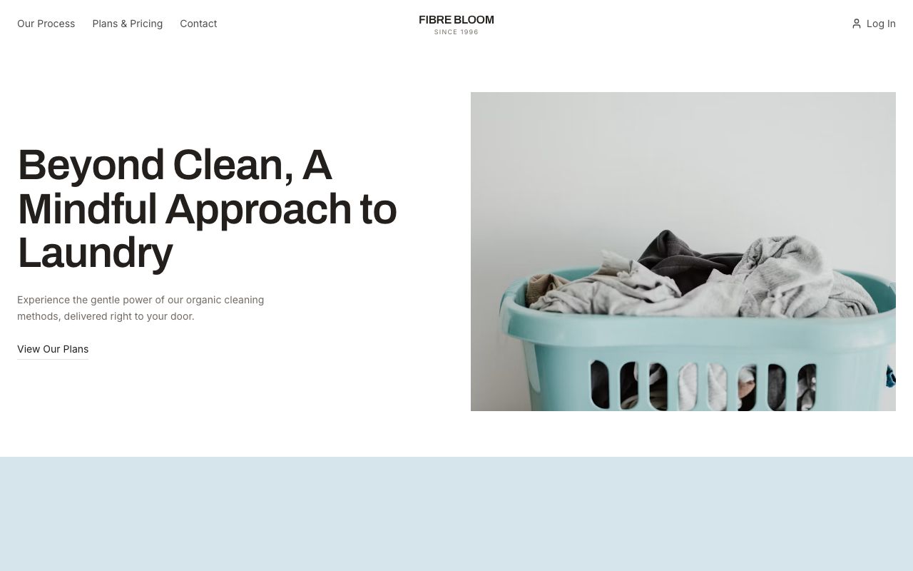 A local cleaning and laundry service website made with Volnyn