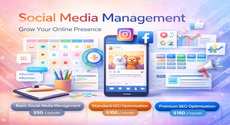 Socisl Media Platform management (Instagram, Facebook, LinkedIn)
