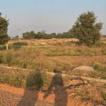 Kisan Kota plots in Dhanori