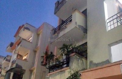 3 BHK Builder Floor For Sale in SRS Pearl Floor